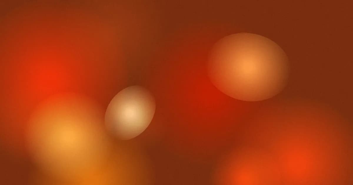 Seasickness on Boats and While Fishing